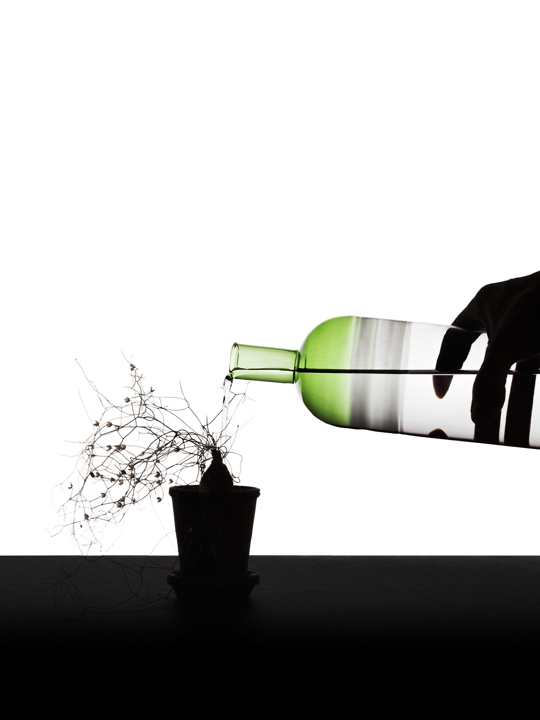 Tequila Sunrise - image10.jpg