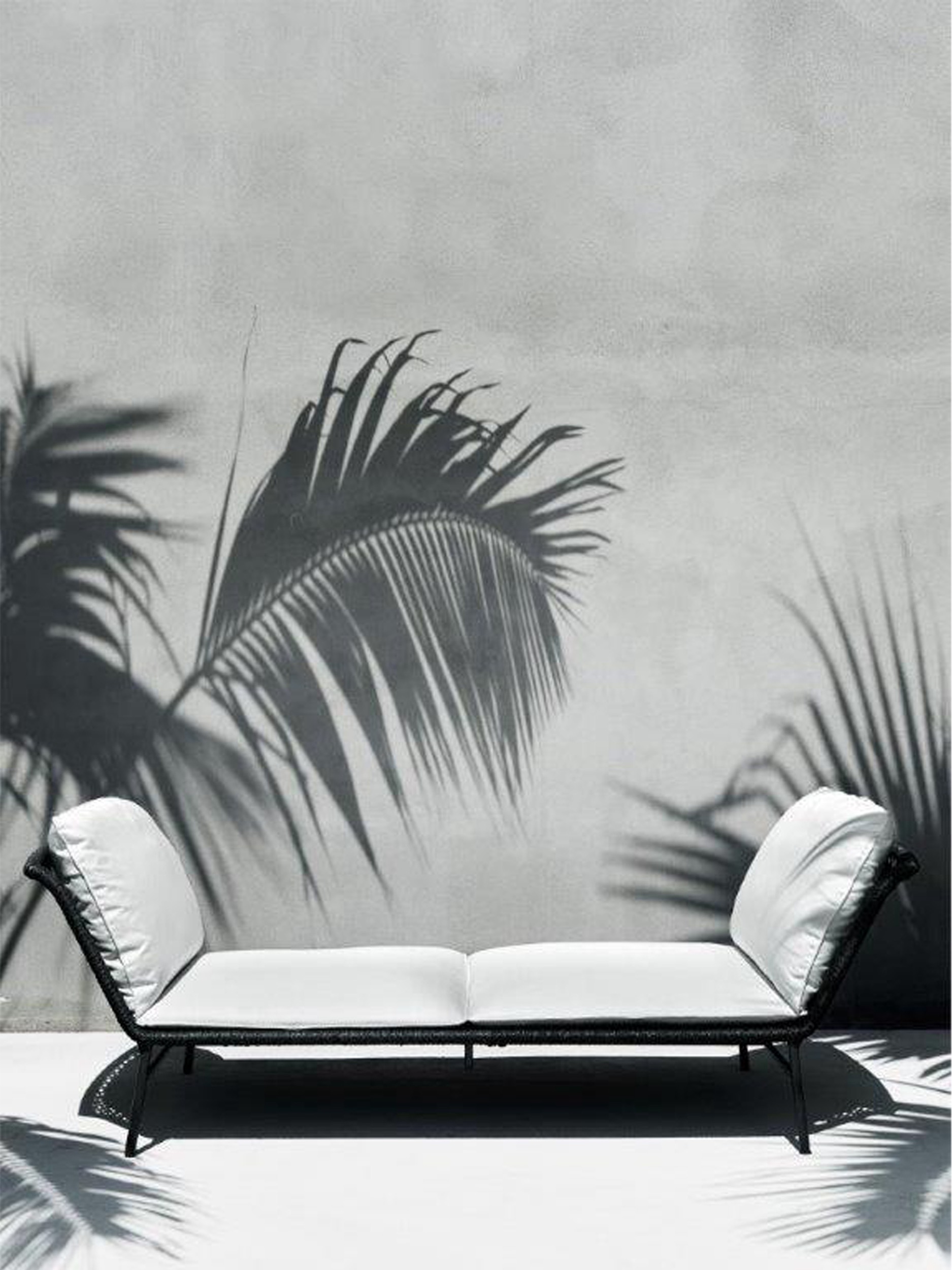 Daydream - image01.jpg